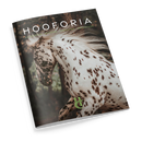Magazin mit dem Titel „HOOFORIA“ auf dem Cover, zeigt ein weißes Pferd mit dunkelbraunen Flecken in Bewegung vor unscharfem Waldhintergrund, darüber kleinere Schriftzeile „NATUR – MENSCH – PFERD – SEELENSTERN“, unten grün-weißes Logo mit den Buchstaben „HC“ und dem Wort „VOLUME“.