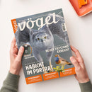 Titelbild der Zeitschrift „vögel – Magazin für Vogelbeobachtung“, Ausgabe Nr. 91 / 3/2026, mit großem Foto eines fliegenden Habichts vor grauem Hintergrund, darunter ein sitzender Vogel mit blauer Kehle auf Zweig. Sichtbare Überschriften: „Habicht im Porträt“, „Neuer Tiefstand erreicht“, „Bessere Aussichten“, „Wiedererkannt“, „Wiedergekehrt“, „Wiederbelebt“. Gehalten von zwei Händen über hellem Tisch, orangefarbene Schale im Hintergrund.
