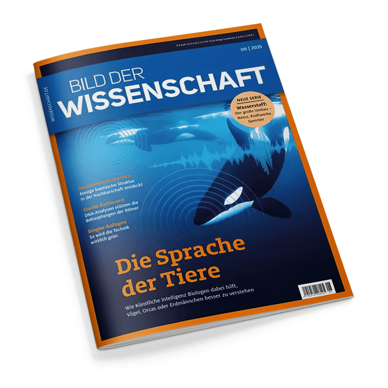 Cover der Zeitschrift Bild der Wissenschaft mit einem Orca und einem Wal unter Wasser, die Schallwellen aussenden. Hauptschlagzeile: Die Sprache der Tiere.