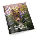 Cover des Magazins dogs mit einem braun-weißen Welpen mit blauen Augen und lila Blumen. Hauptschlagzeile: Von Machos und Zicken.