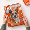 Orangefarbene Zeitschrift „dogs“ mit großem Porträt eines braun-weißen Hundes auf dem Cover, gehalten von zwei Händen einer nicht erkennbaren Person. Sichtbare Texte: „DOGS Today“, „TEST Wie schlau ist Ihr Hund?“, „VAGUSNERV“ und „MOLVENO-SEE“; oben rechts liegt ein orangefarbenes Schreibgerät auf hellem Untergrund.