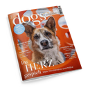 Orangefarbene, schräg von oben fotografierte Ausgabe des Magazins „dogs“ beziehungsweise „DOGS today“ mit glänzendem Papiercover und einem braun-weiß-grauen Hundeporträt in der Mitte. Sichtbare Texte: „TEST Wie schlau ist Ihr Hund?“, „GROSSES EXTRA Öle, Kräuter, Pulver: Upgrade für das tägliche Futter“, „VAGUSNERY“, „MOLVENO-SEE“, „HINTER DEN KULISSEN“ und „Ins HERZ gespielt – Mehr Verständnis und Nähe“.