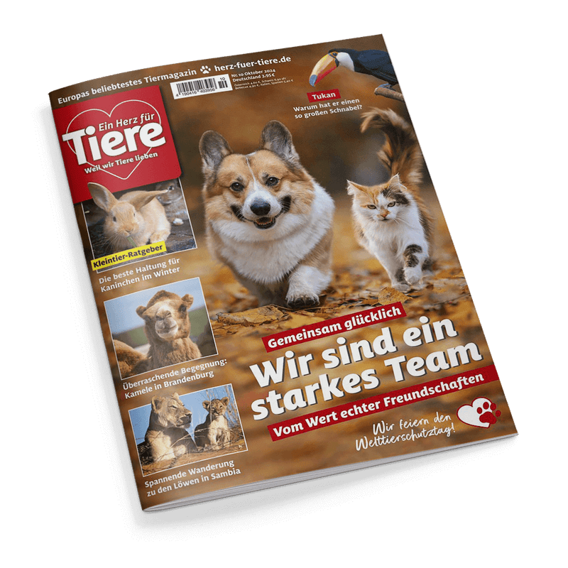 Ein Herz für Tiere