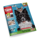 Cover des Tiermagazins Ein Herz für Tiere mit einem Hund und einer Katze, die in die Kamera blicken, und der Schlagzeile "Wie heißt du denn?".