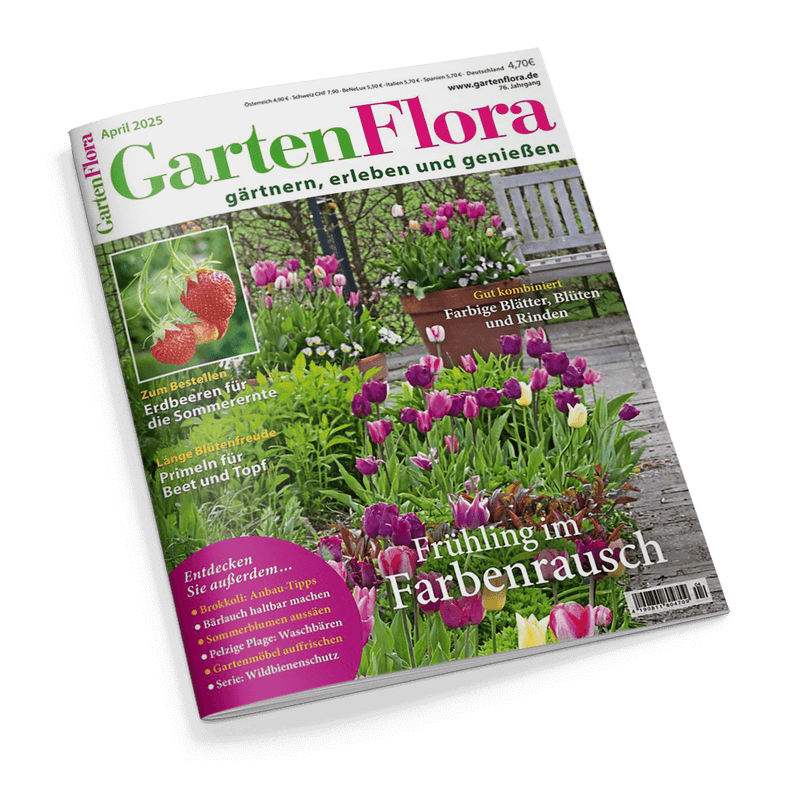 Garten Flora