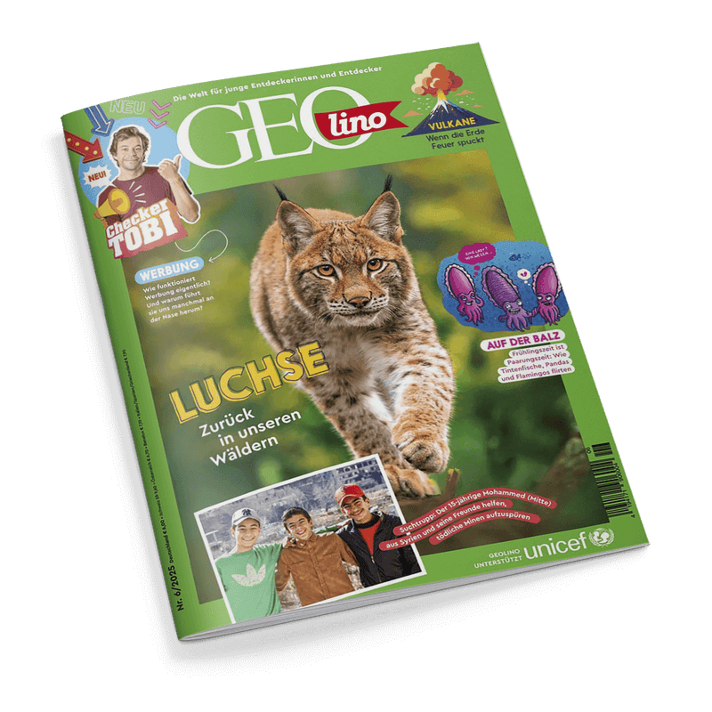 Cover des GEOlino Magazins Nr. 6/2025 mit einem Luchs als Hauptmotiv. Weitere Themen sind Checker Tobi, Vulkane und eine Suchtrupp-Geschichte mit jungen Männern.