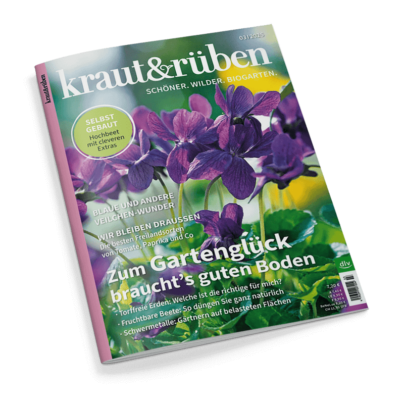 Kraut & Rüben