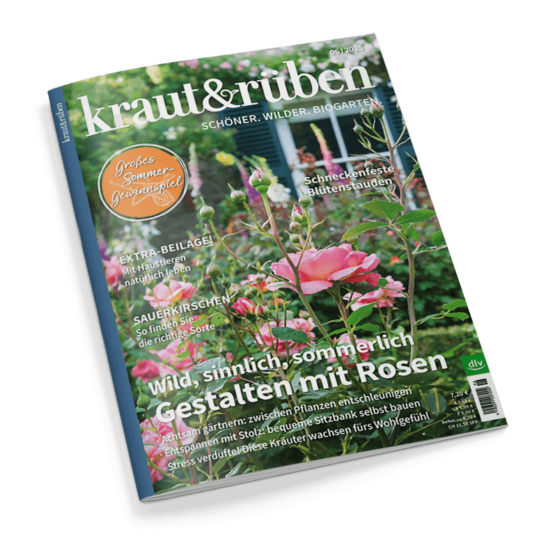 Kraut&rüben Magazincover mit pinken Rosen und üppigem Garten, Schlagzeile Wild, sinnlich, sommerlich Gestalten mit Rosen.