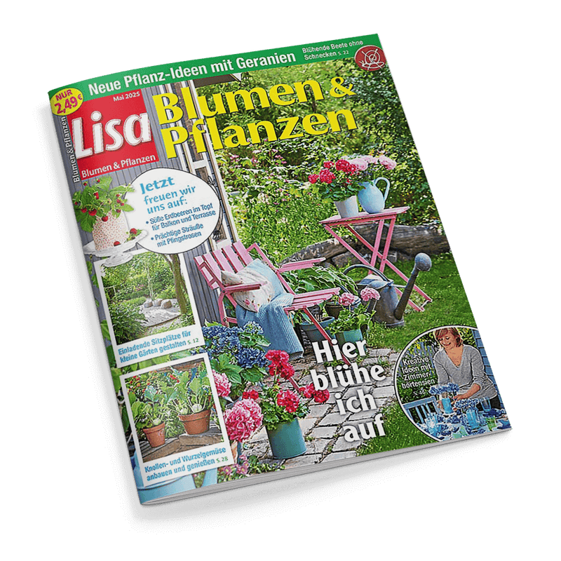Lisa Blumen & Pflanzen