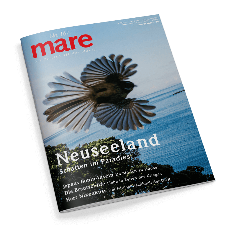 Mare