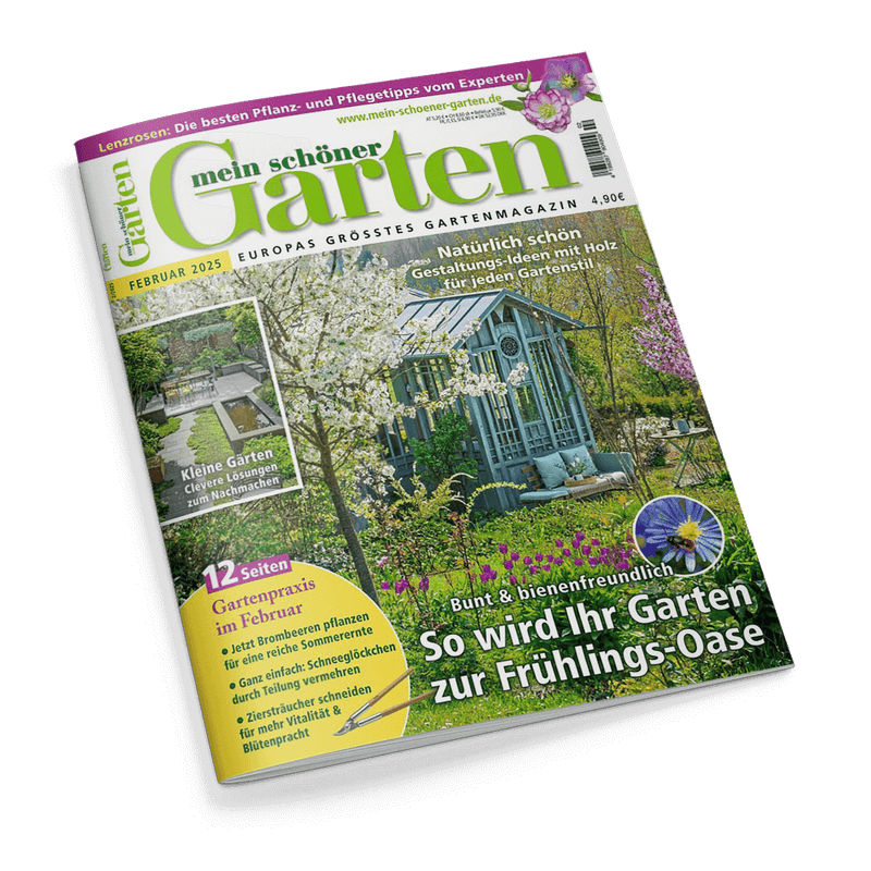 Mein schöner Garten