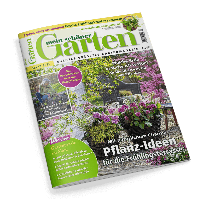 Mein schöner Garten