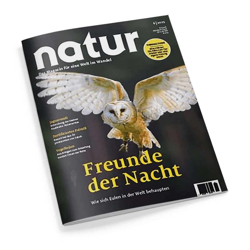 Cover des Magazins natur mit einer Schleiereule im Flug und der Schlagzeile Freunde der Nacht.