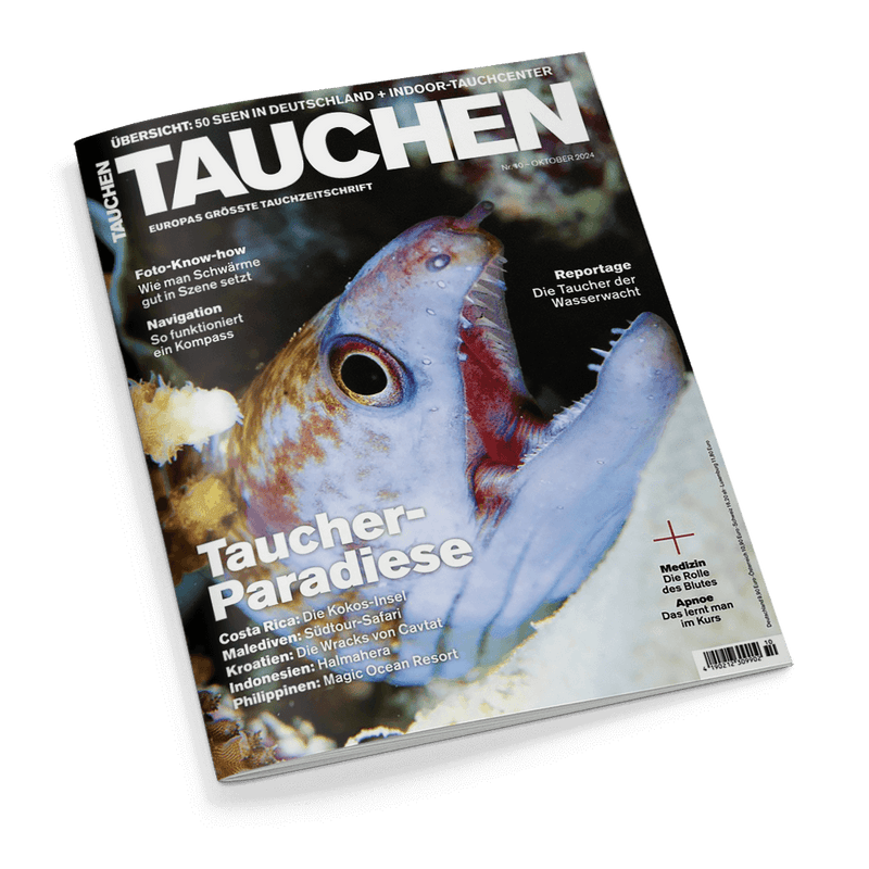 Tauchen