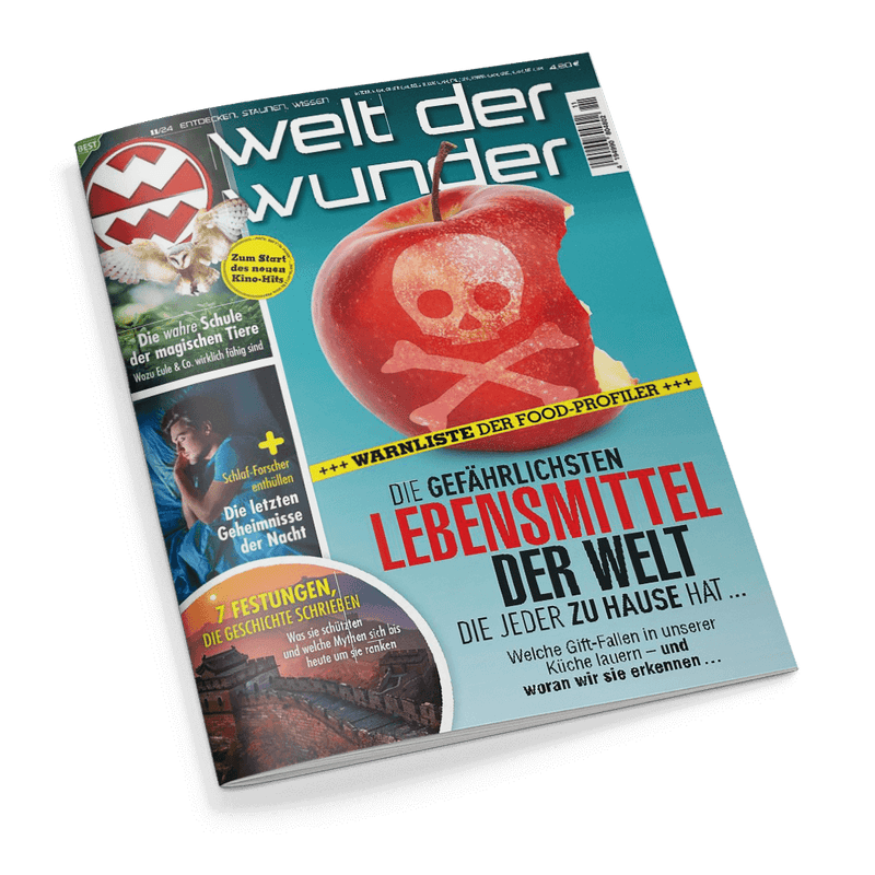 Welt der Wunder